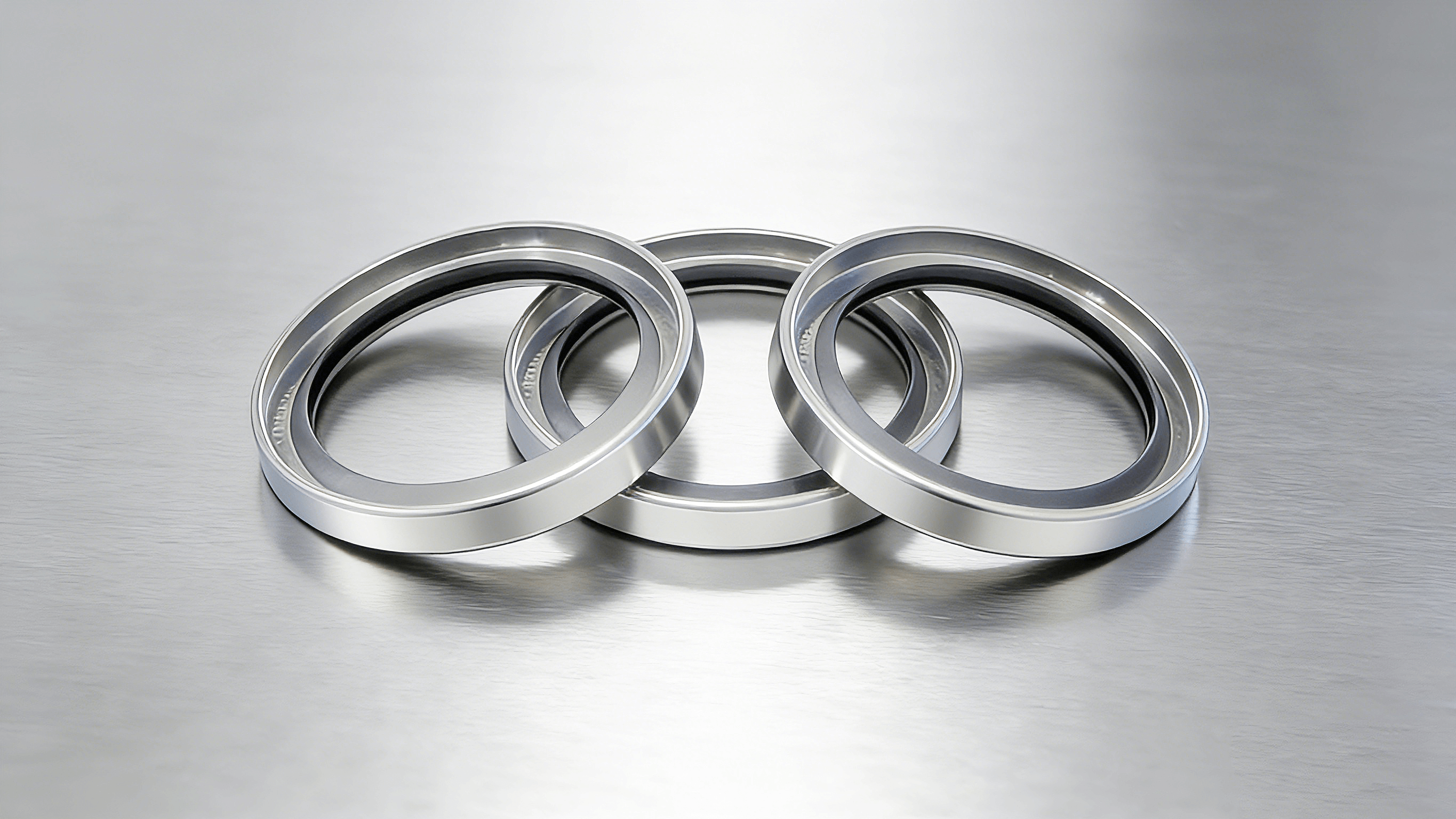 不銹鋼油封A型-2000 (2)