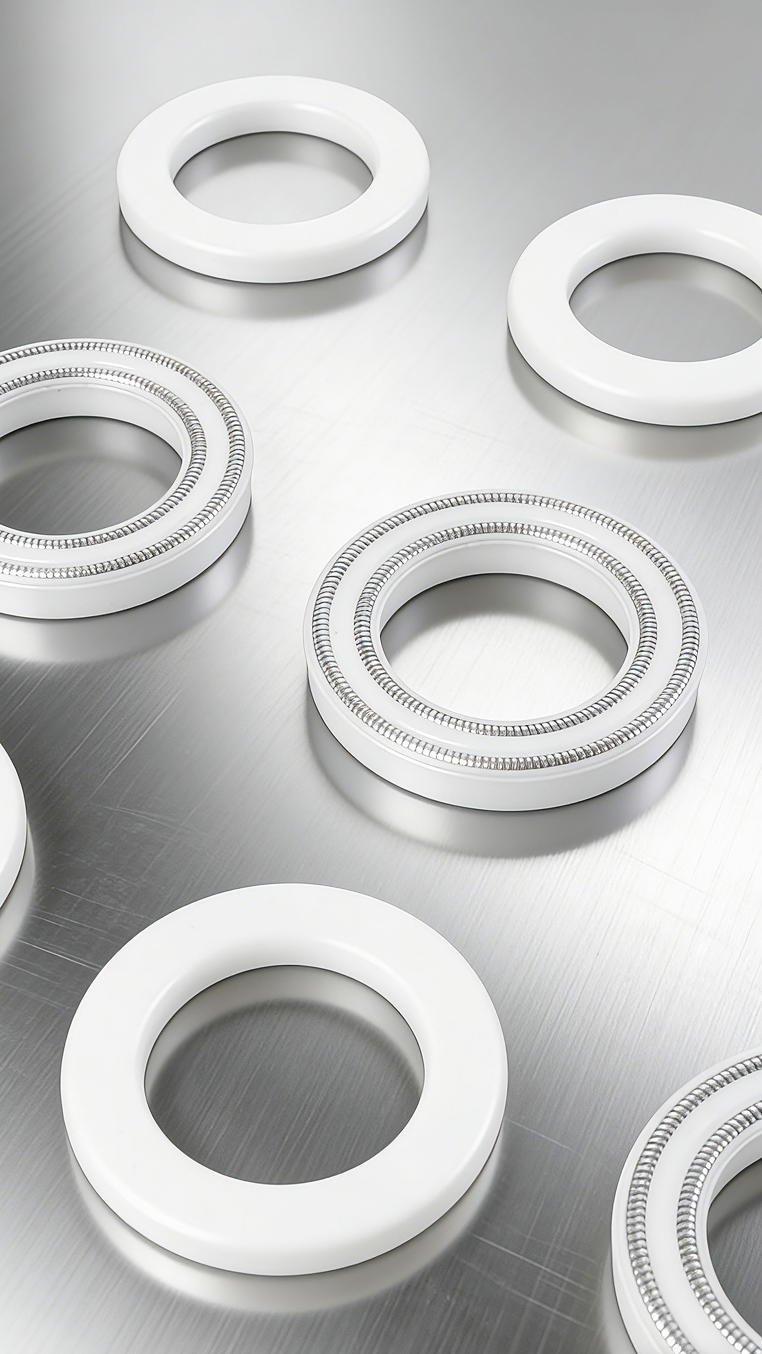 雙層彈簧泛塞封密封件2000 (2)