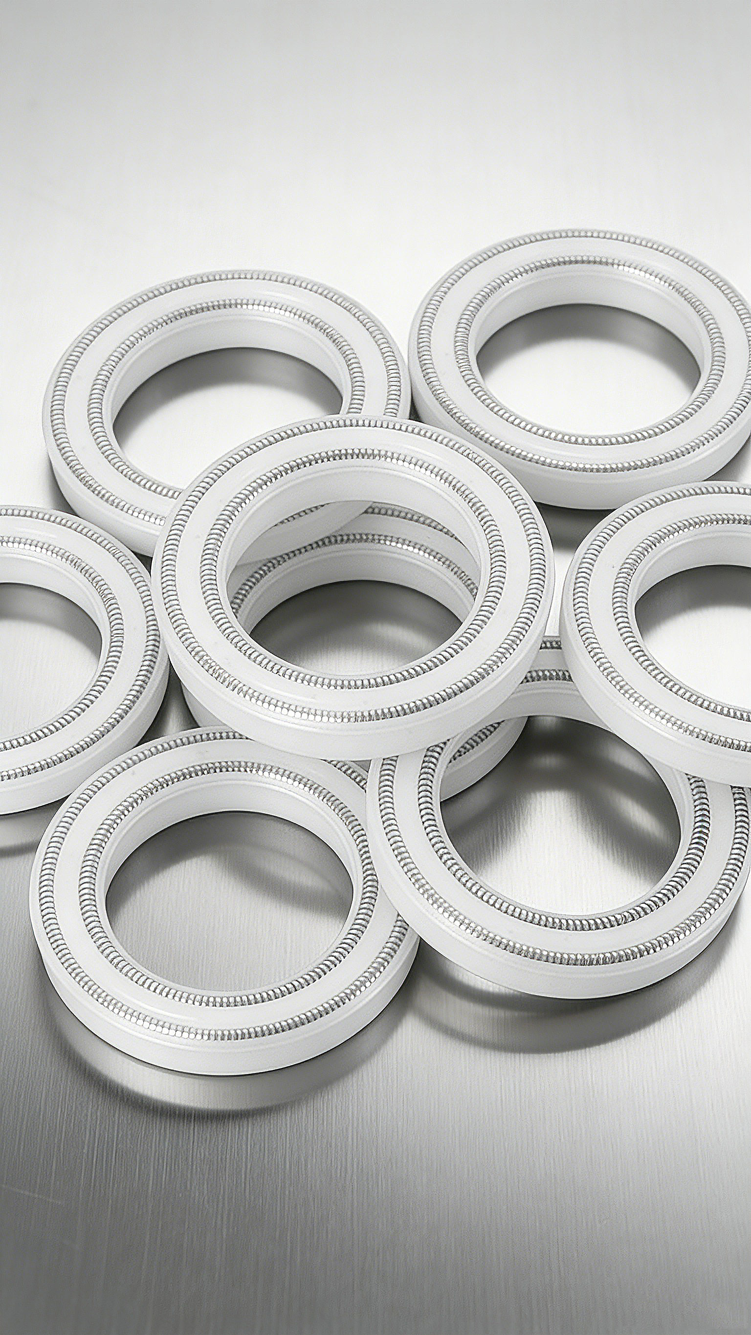 雙層彈簧泛塞封密封件2000 (10)