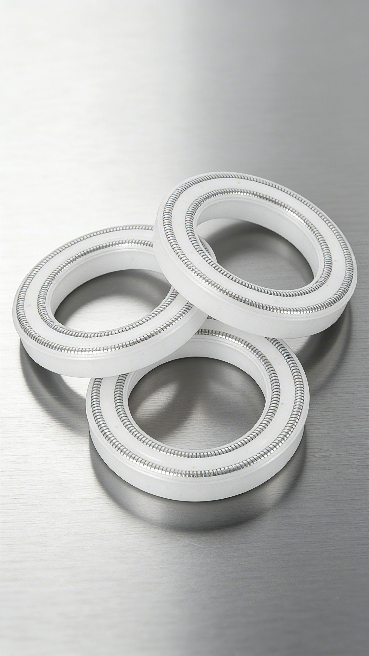 雙層彈簧泛塞封密封件2000 (9)