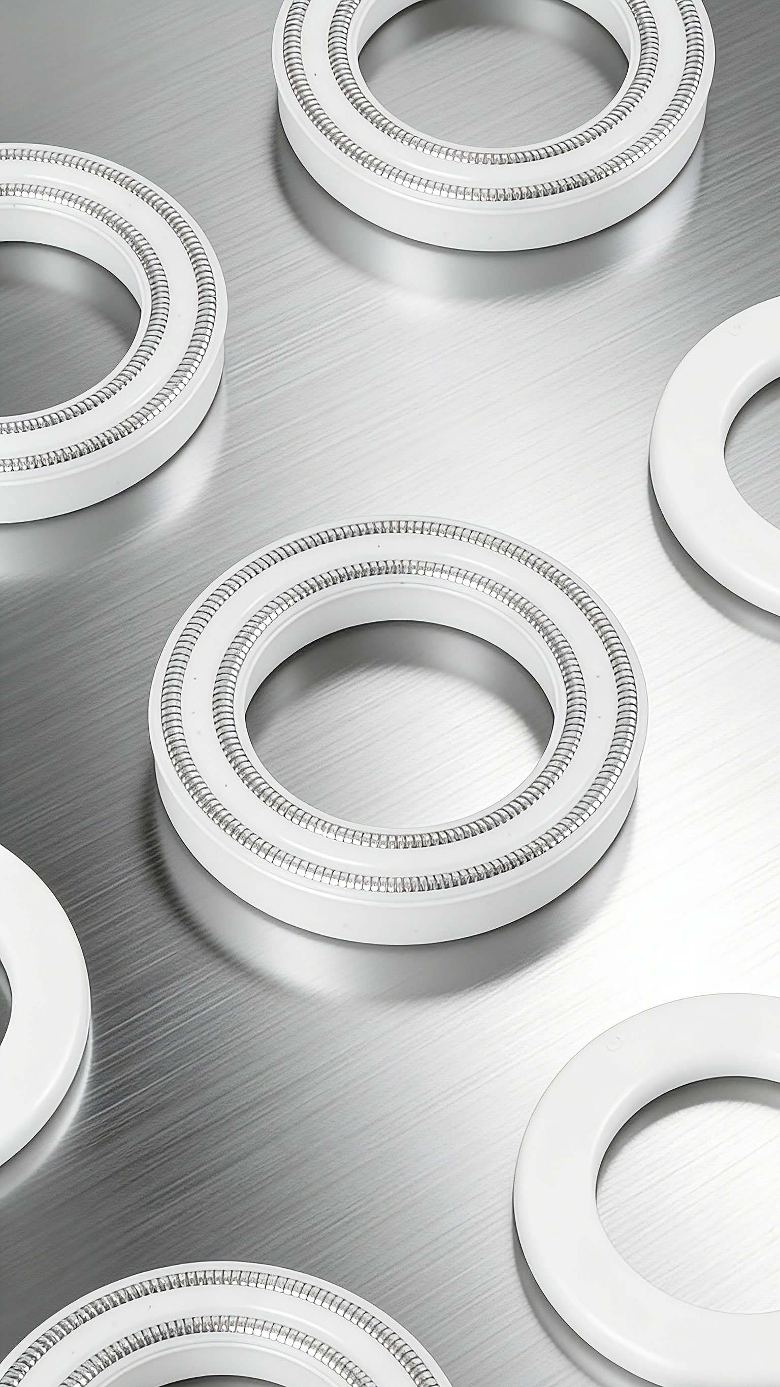 雙層彈簧泛塞封密封件2000 (10)