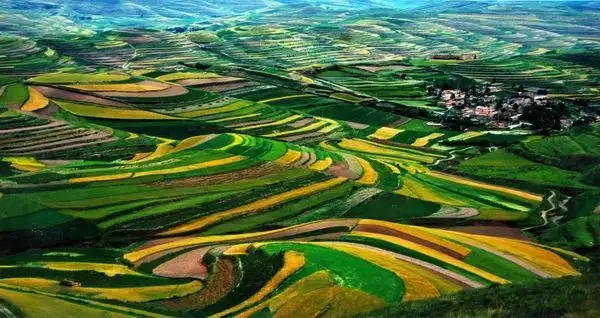 東晟密封與你一起植樹(shù)環(huán)保