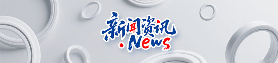 油封,密封件,密封圈,液壓密封件,東莞密封件廠家-廣東東晟密封件公司