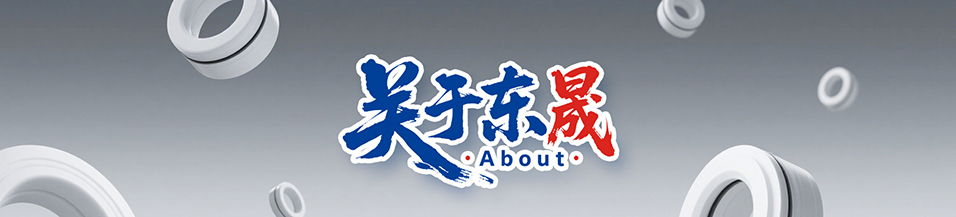 密封件,密封件公司,油封生產(chǎn)廠家,密封件生產(chǎn)廠家,密封圈生產(chǎn)廠家 - 廣東東晟密封科技有限公司123