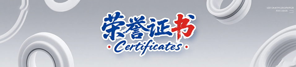 榮譽(yù)認(rèn)證|廣東東晟密封件廠家 - ISO認(rèn)證企業(yè)資質(zhì)