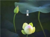 立夏已至，萬物向陽；