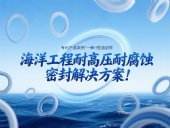 專利產(chǎn)品案例 ? 一種H型油封件：海洋工程耐高壓耐腐蝕的密封解決方案！