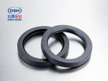 全四氟油封(PTFE)B1型